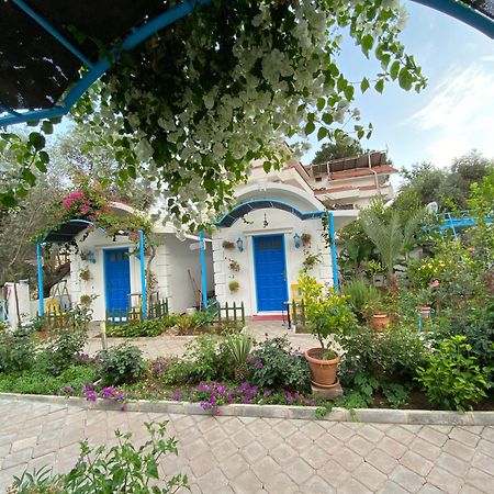 Sunmed Lodge Ölüdeniz Zewnętrze zdjęcie