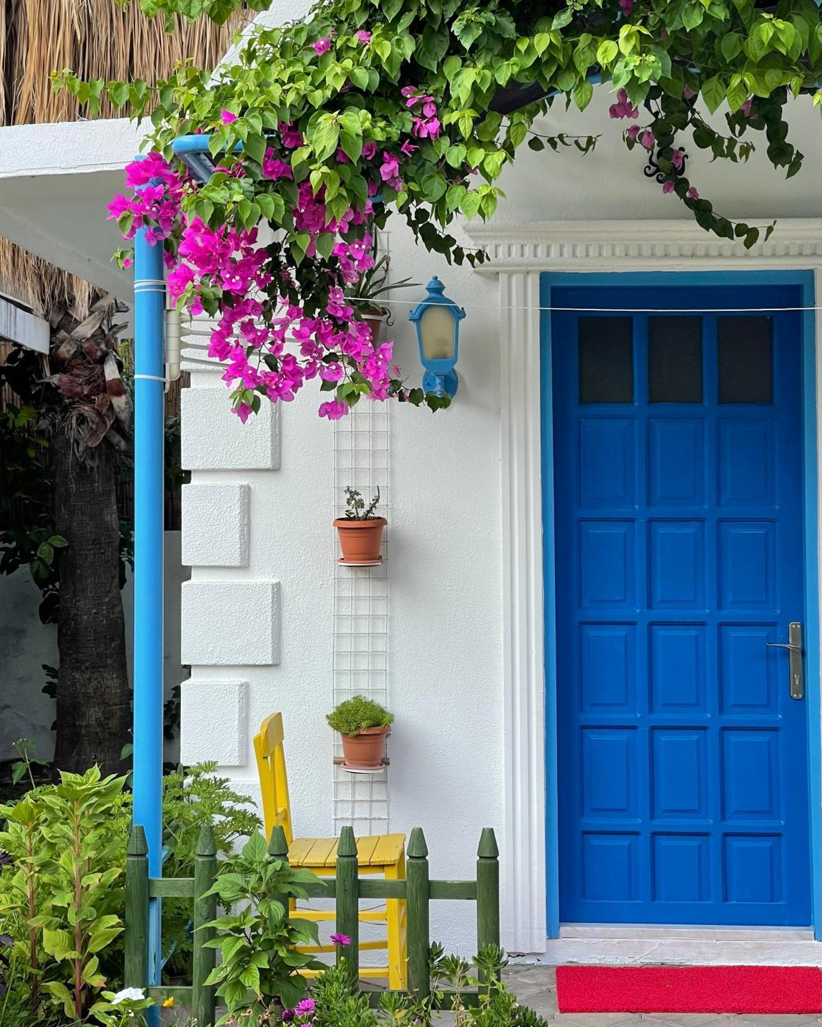 Sunmed Lodge Ölüdeniz Zewnętrze zdjęcie