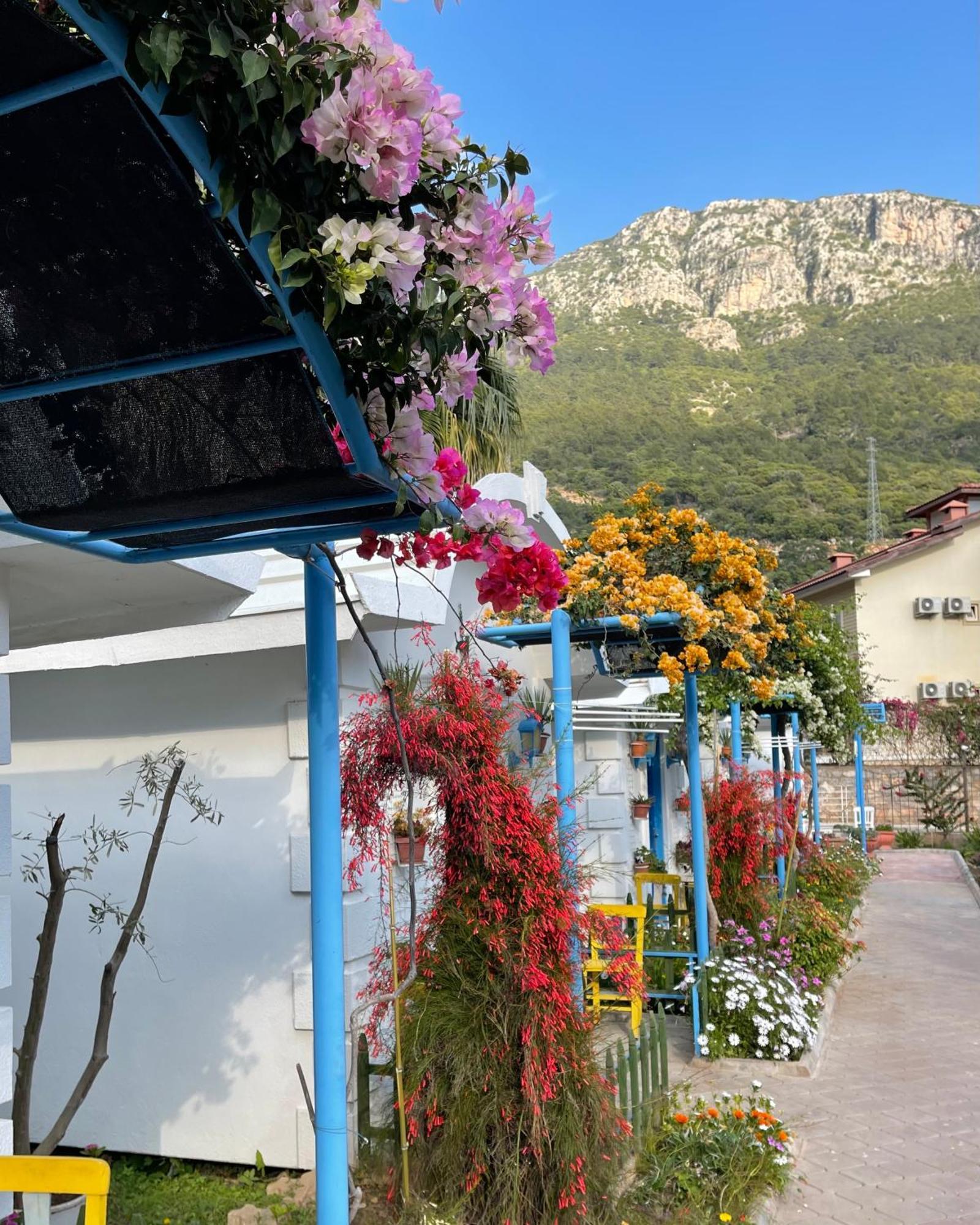 Sunmed Lodge Ölüdeniz Zewnętrze zdjęcie