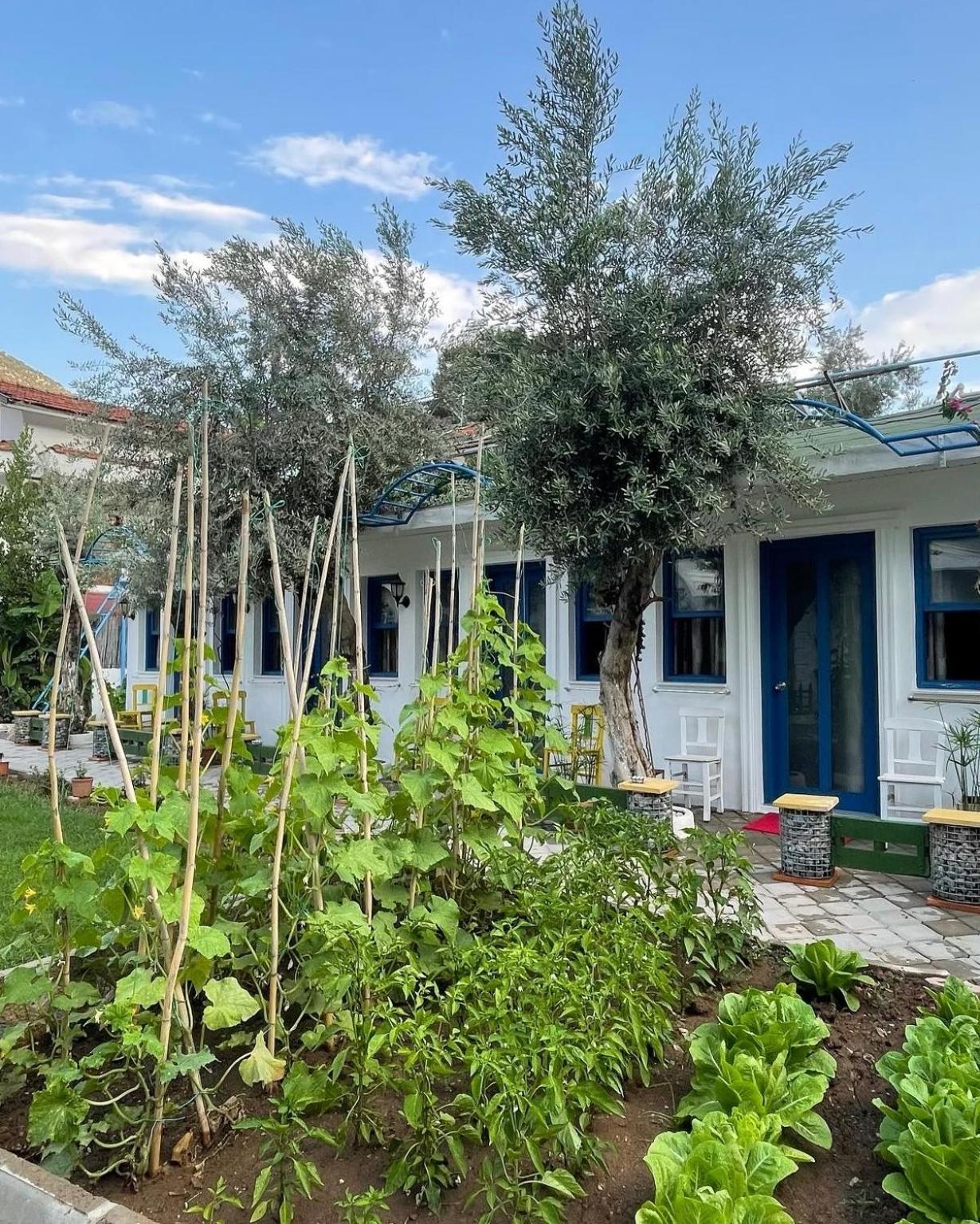 Sunmed Lodge Ölüdeniz Zewnętrze zdjęcie