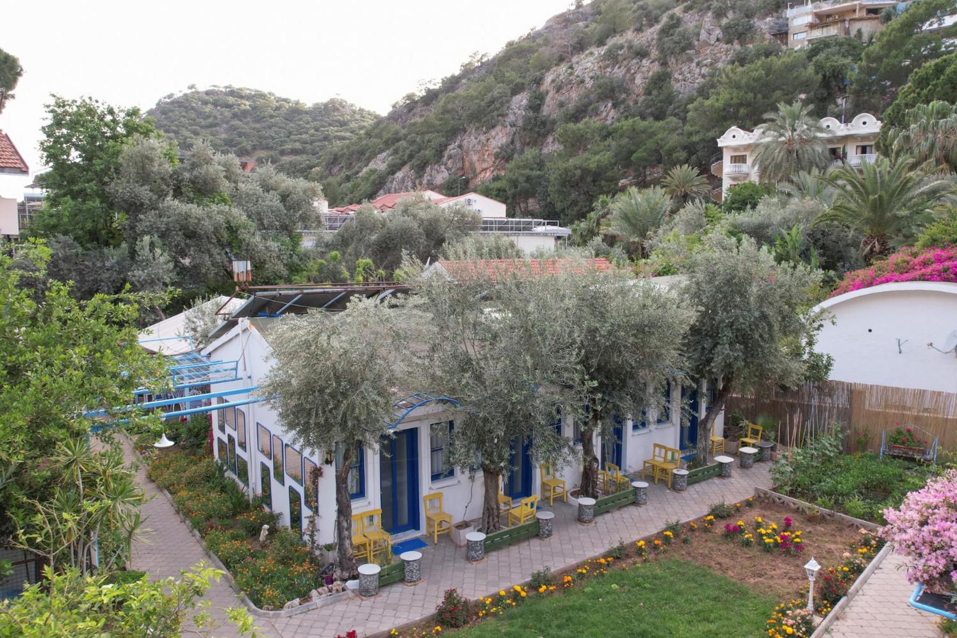 Sunmed Lodge Ölüdeniz Zewnętrze zdjęcie