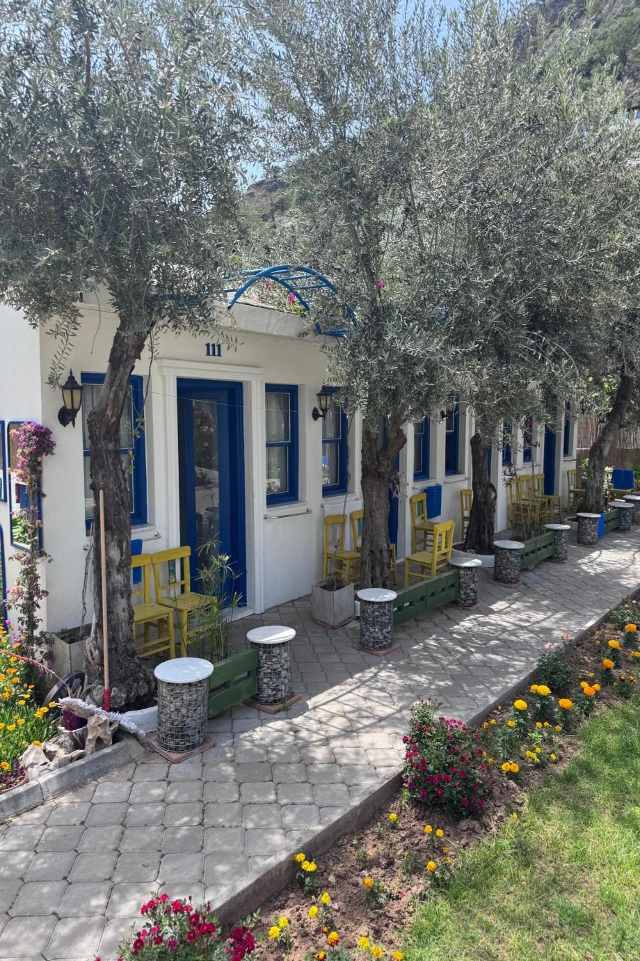 Sunmed Lodge Ölüdeniz Zewnętrze zdjęcie